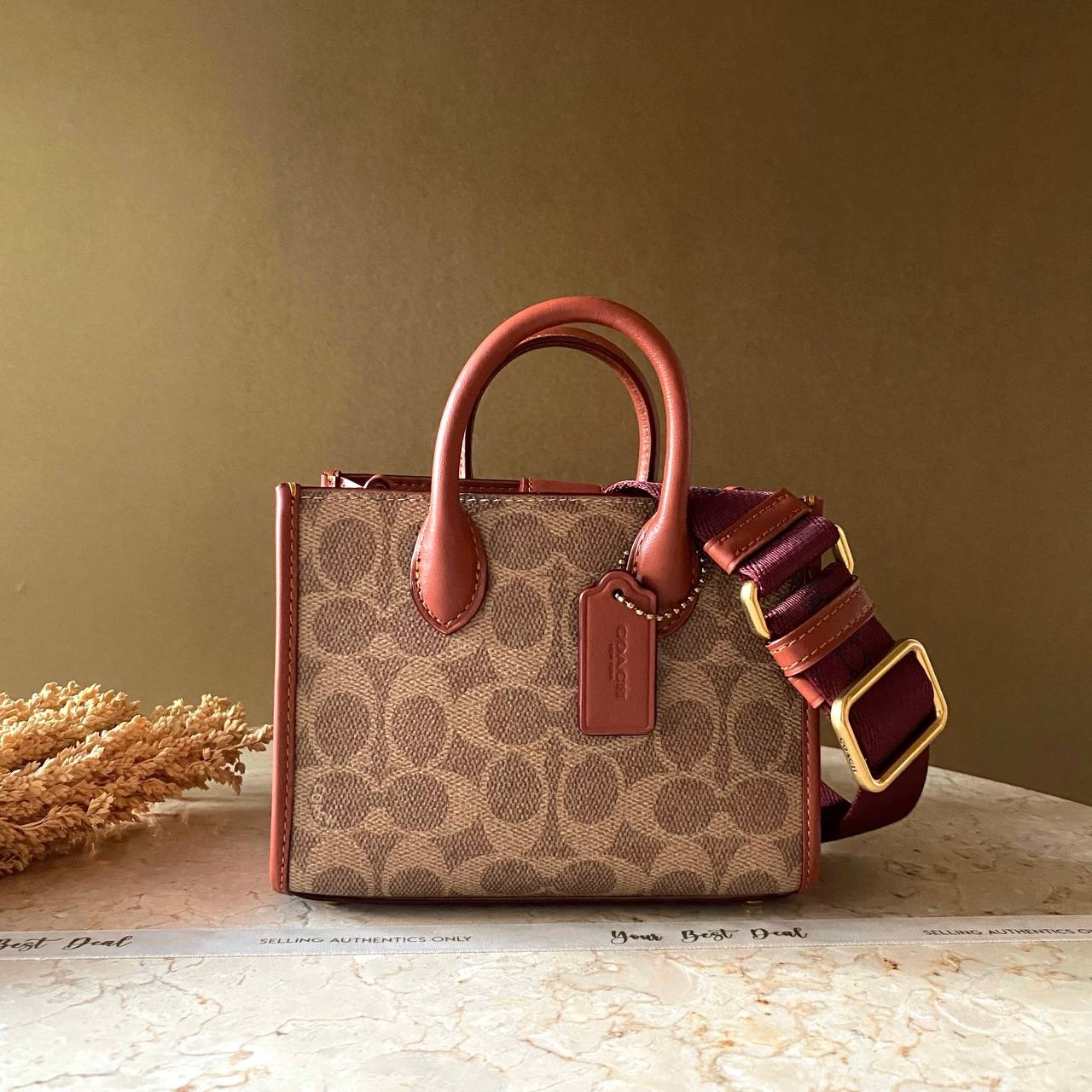 Coach Signature Ace Tote 17 