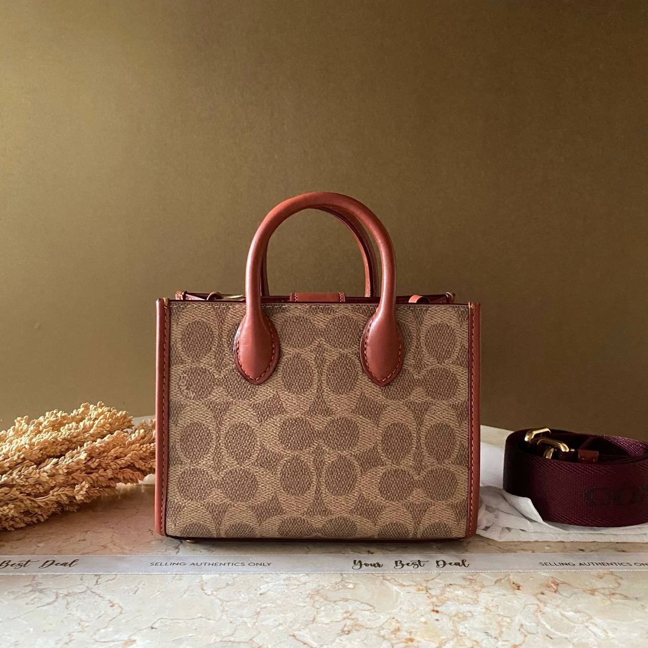 Coach Signature Ace Tote 17 