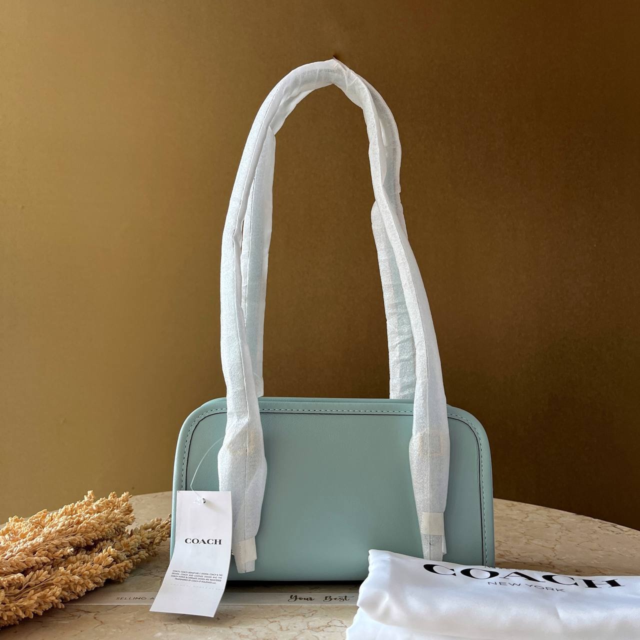 Coach Swing Zip Bag