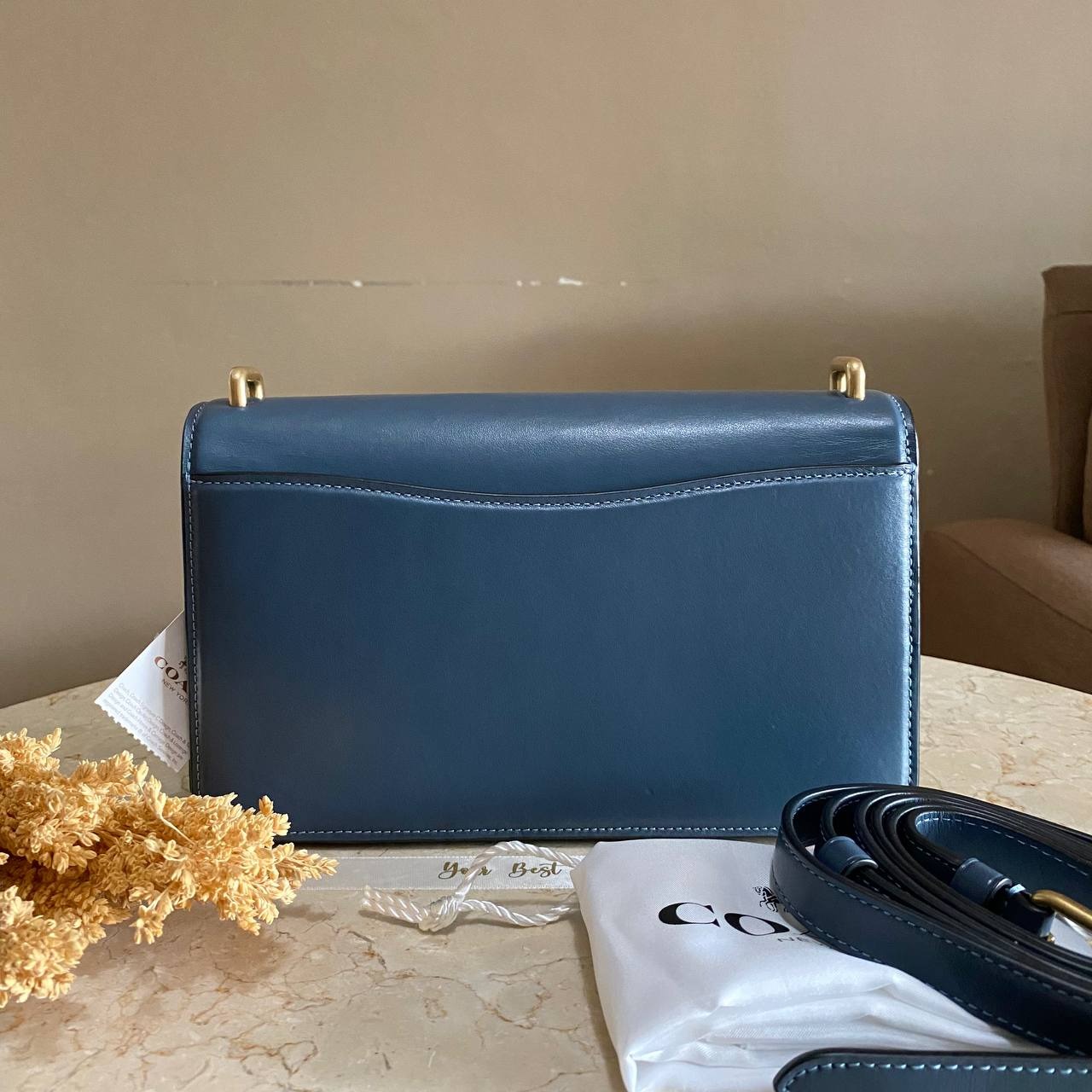 Coach Bandit Shoulder Bag 