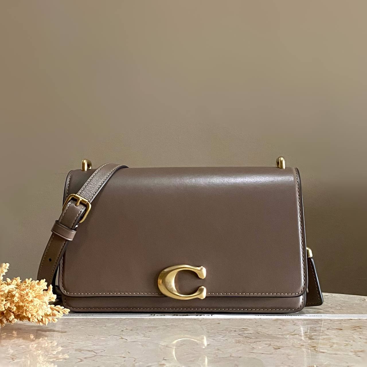 Coach Bandit Shoulder Bag 