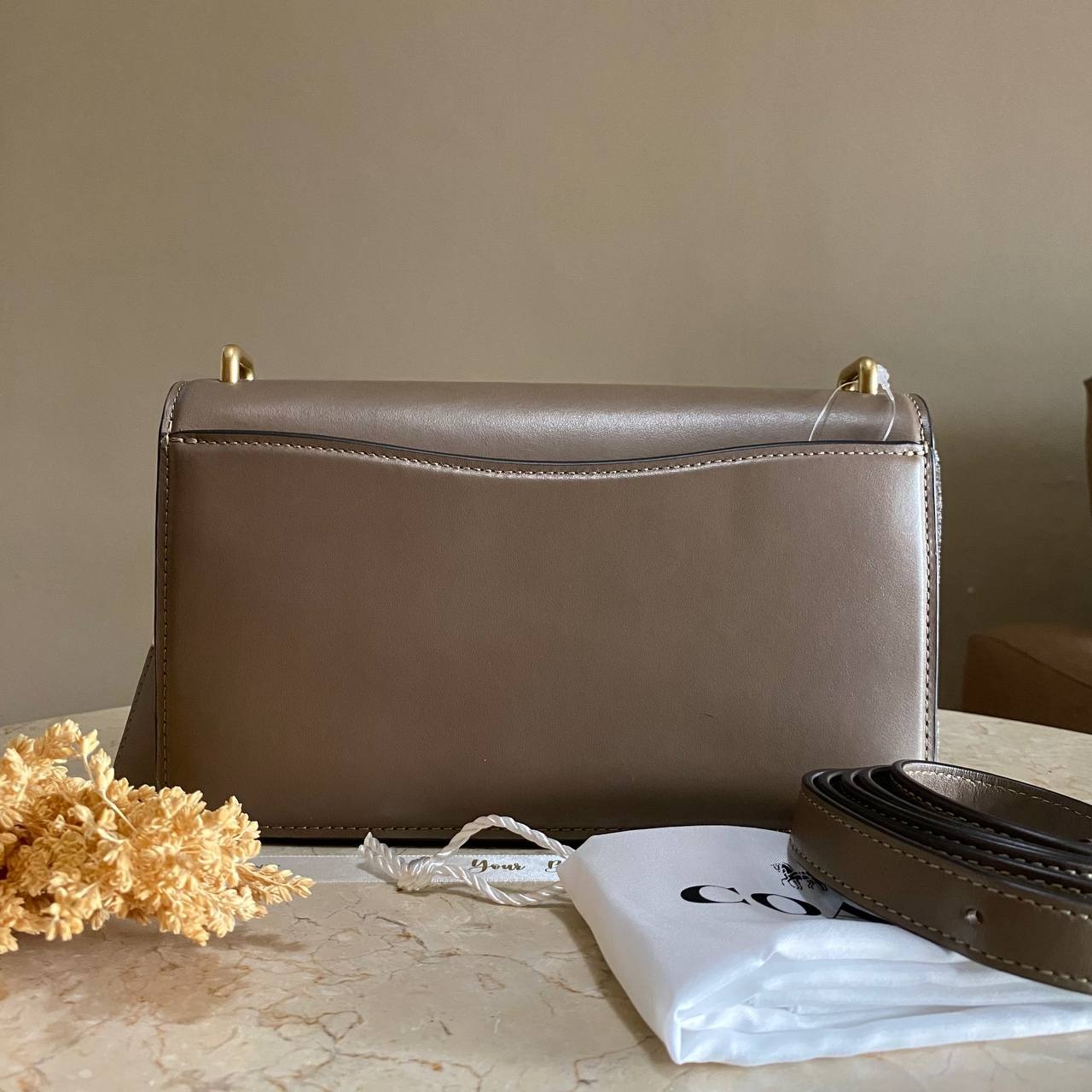 Coach Bandit Shoulder Bag 