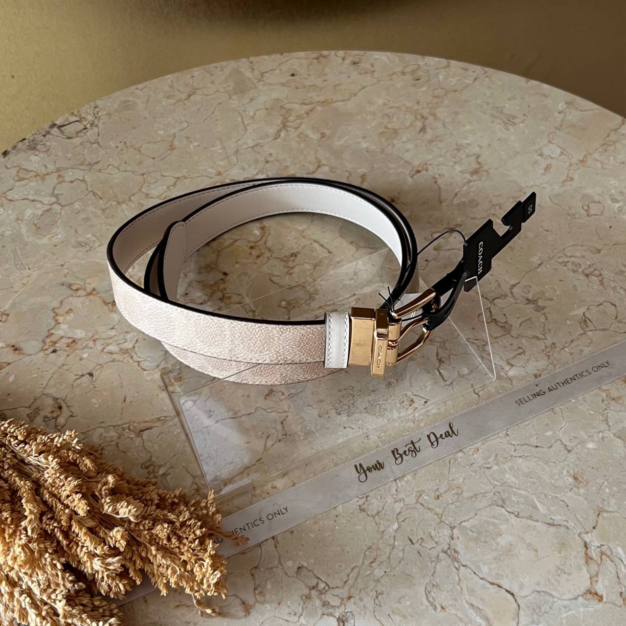 Coach Signature Reversible Belt