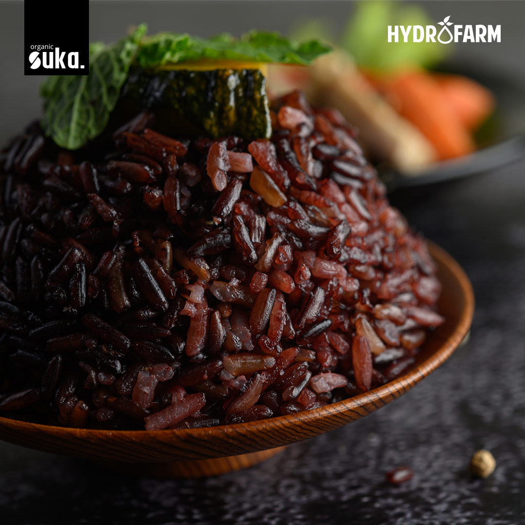 Organic Black Rice / Beras Hitam Organik - SUKA