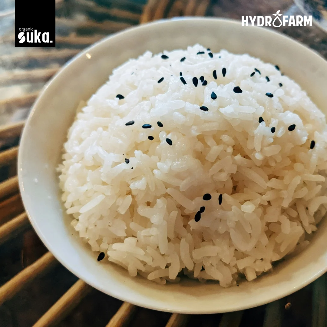 Suka - Organic Konjac Rice / Beras Porang Organik