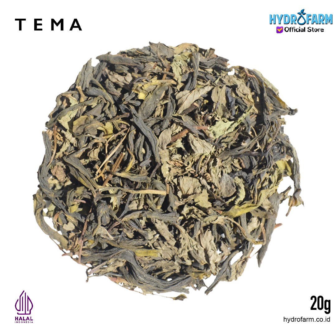 Tema - Tea Bags Peppermint / Green Mint / Teh Daun Mint