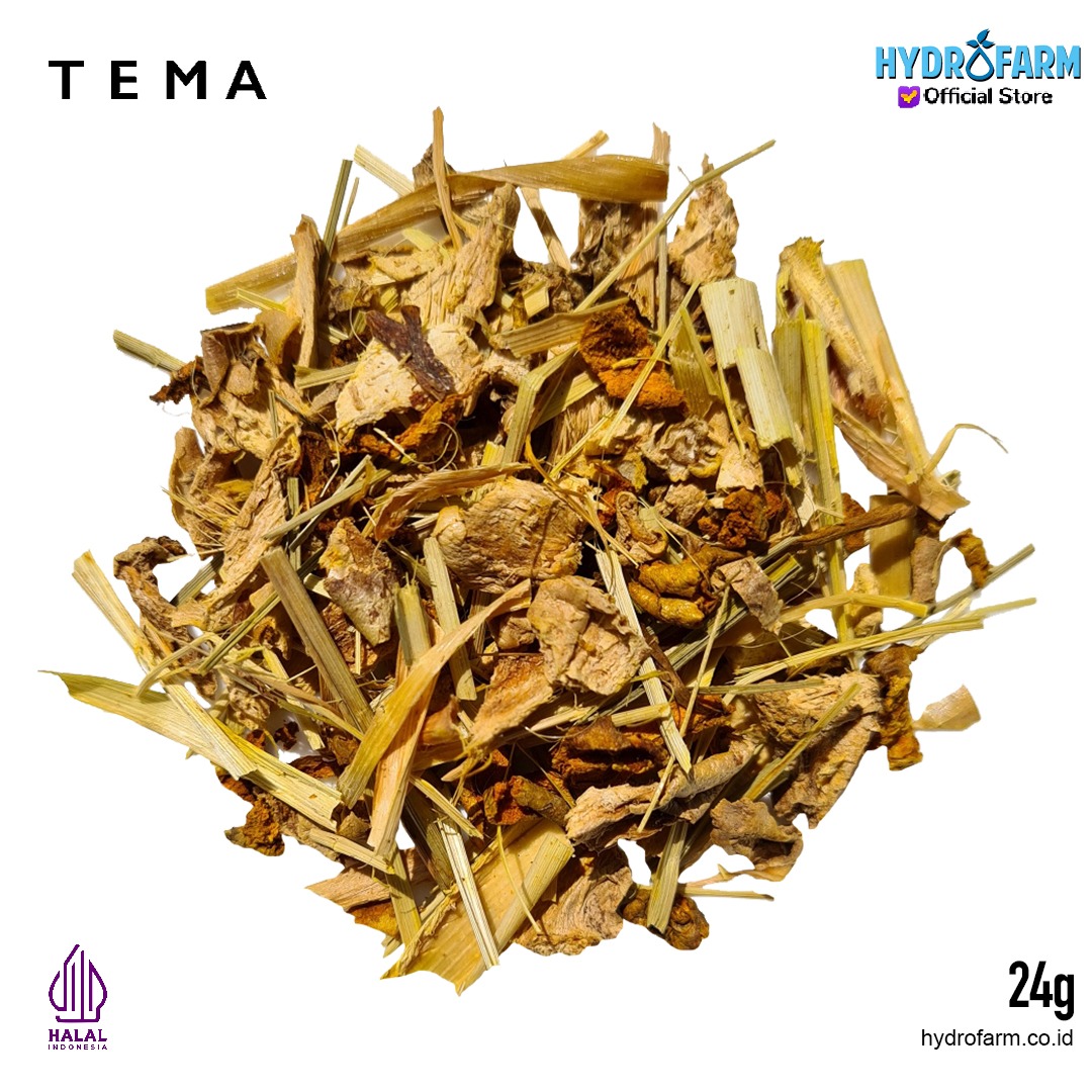 Tema - Tea Bags Immune / Ginger Turmeric Galangal / Teh Jahe, Kunyit & Lengkuas