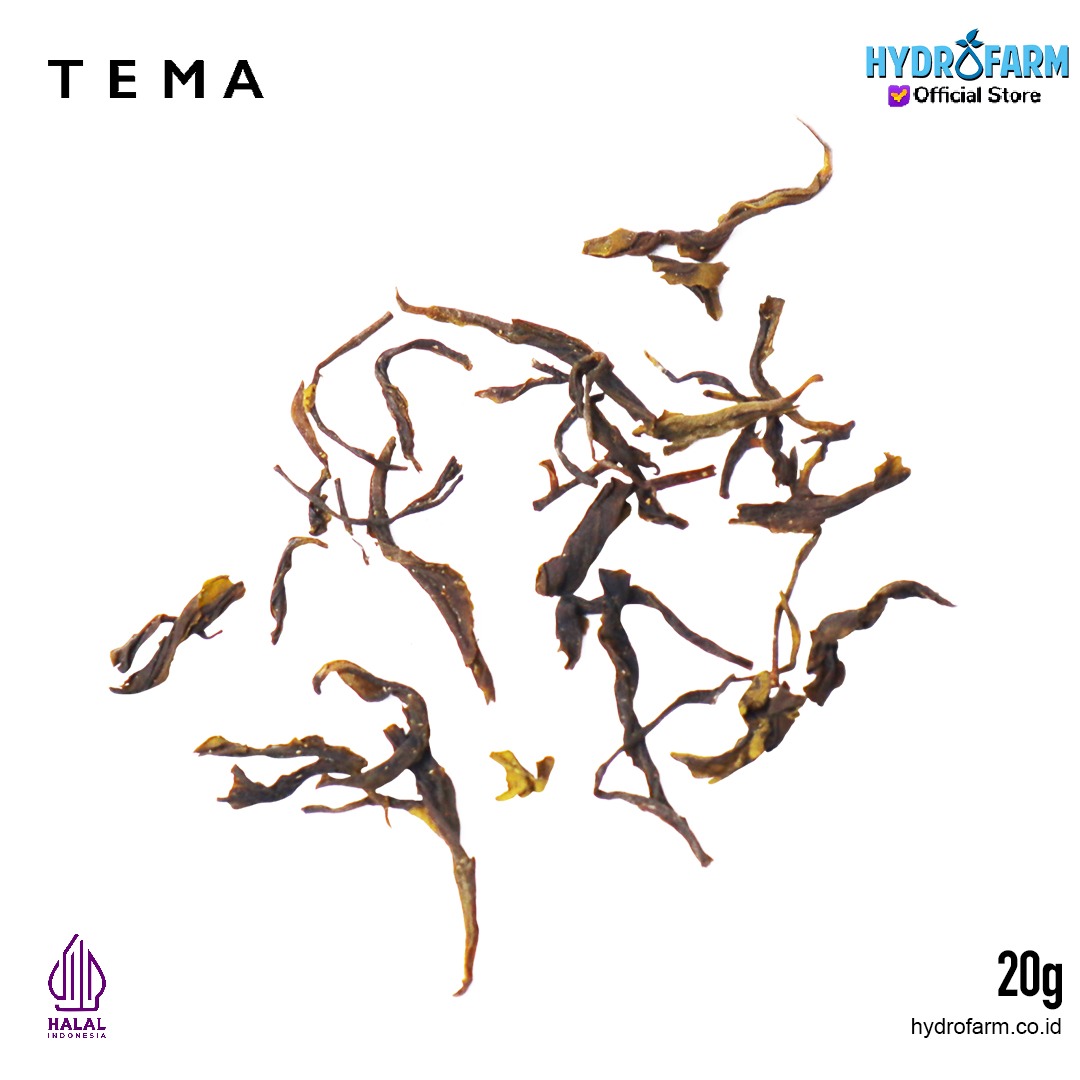 Tema - Tea Bags Peppermint / Green Mint / Teh Daun Mint