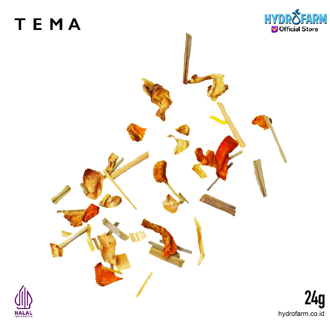 Tema - Tea Bags Immune / Ginger Turmeric Galangal / Teh Jahe, Kunyit & Lengkuas