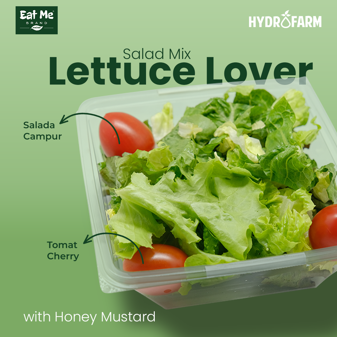 Lettuce Lover Salad + Tomato Pack Hidroponik (150g) - Eat Me Brand