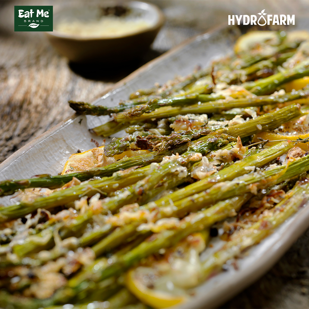 Apollo Asparagus - Eat Me Brand