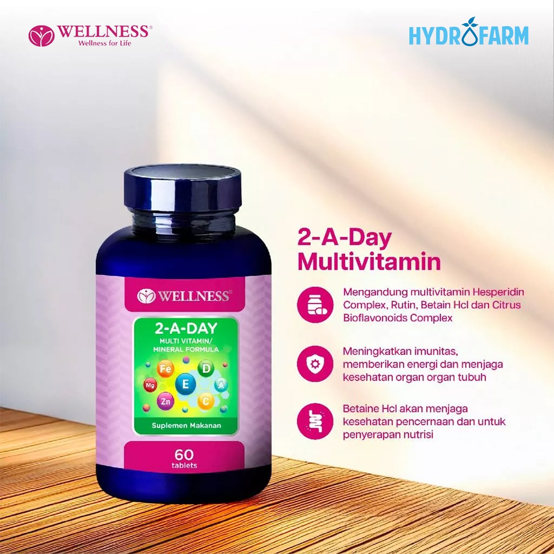 Wellness - Multi Vitamin / Mineral Formula 2-A-Day (60 Tablets)