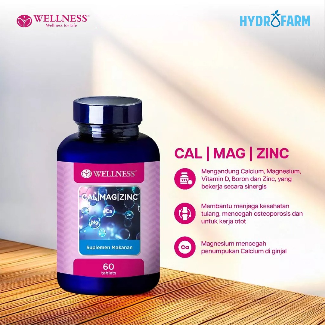 Wellness - Calsium Magensium Zinc (60 Tablets)