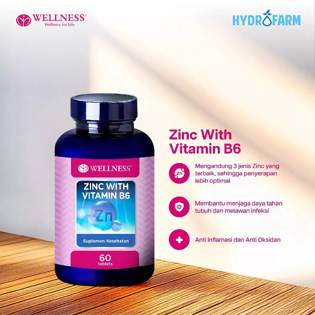 Wellness - Zinc With Vitamin B6 (60 Tablets)