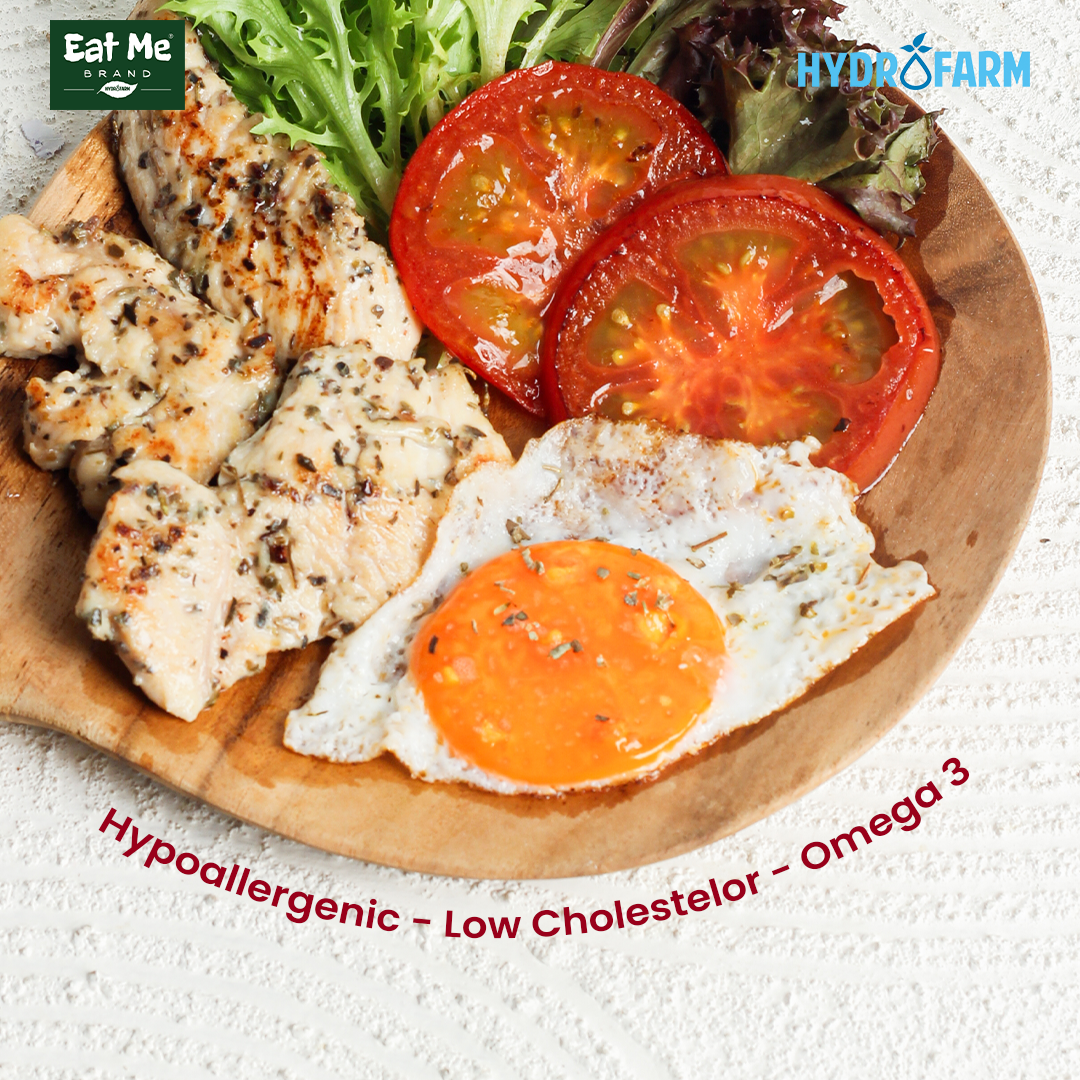 Eat Me Brand - Telur Hypoallergenic Omega Eggs / Telur Bebas Reaksi Alergi Free Eggs
