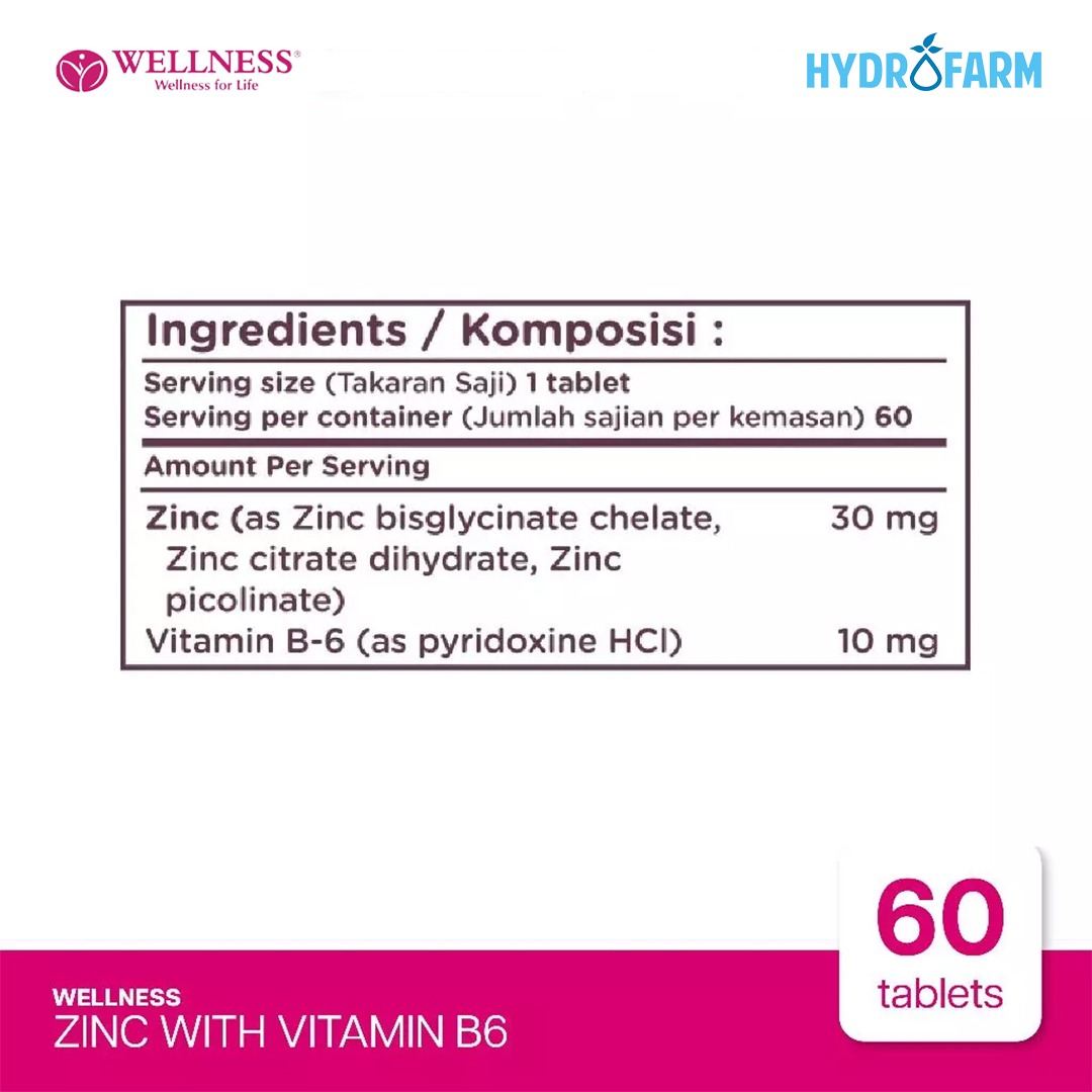 Wellness - Zinc With Vitamin B6 (60 Tablets)