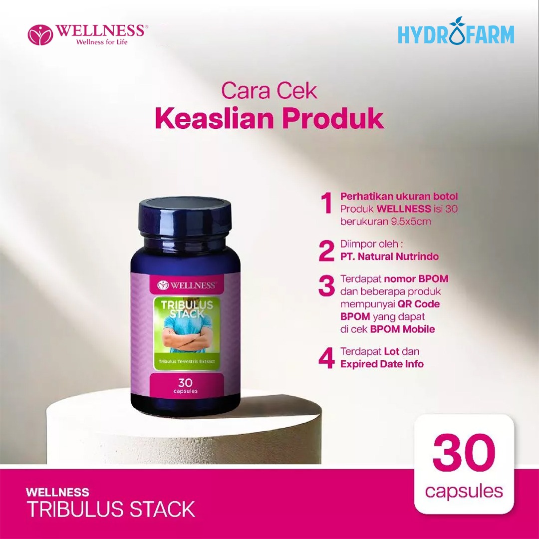 Wellness - Tribulus Stack / Tribulus Terrestris Extract (30 Capsule)