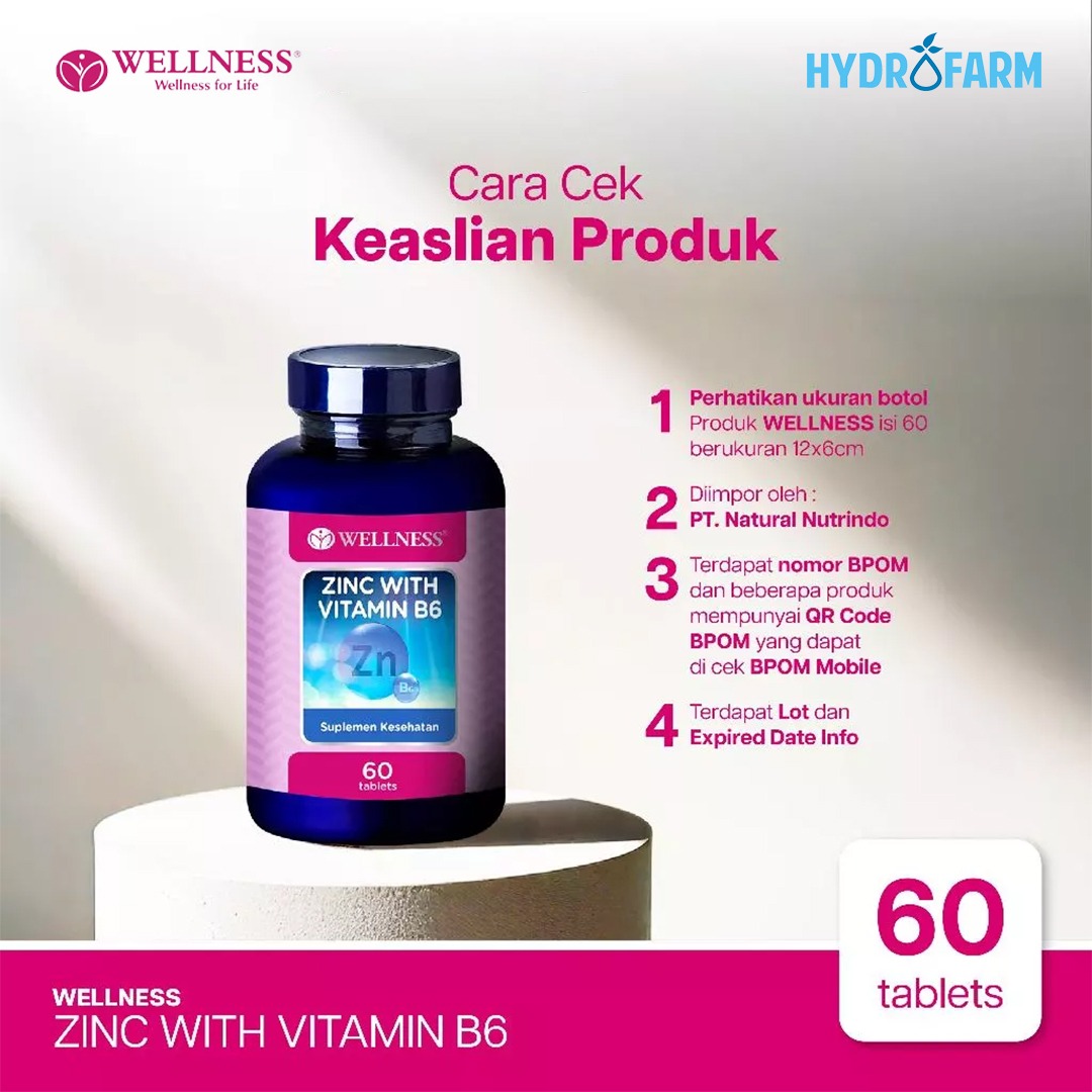Wellness - Zinc With Vitamin B6 (60 Tablets)