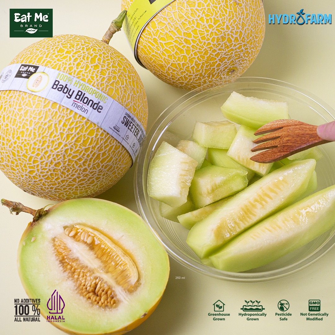 Eat Me Brand - Freeze Dried Baby Blonde Melon Bites