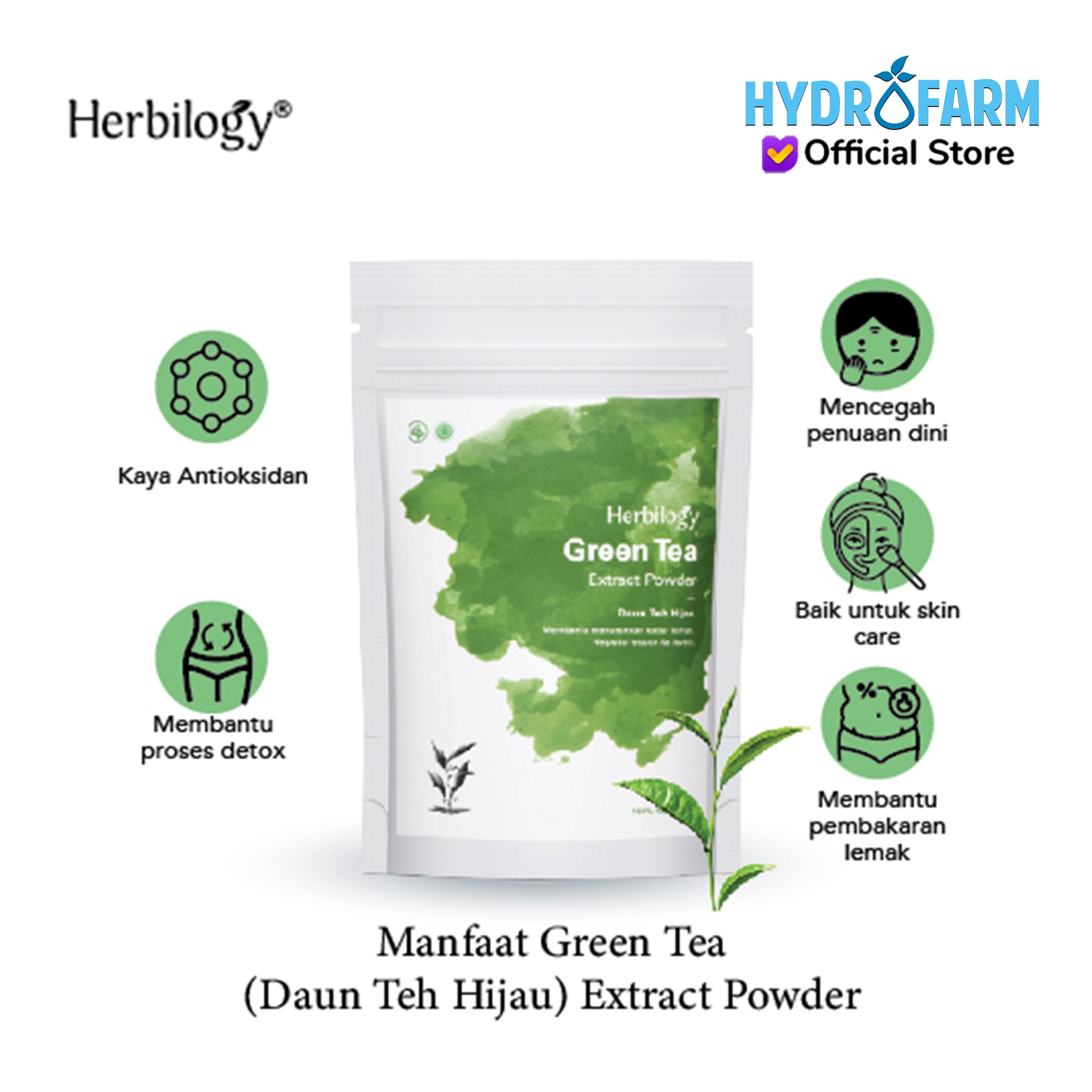 Herbilogy - Green Tea (Daun Teh Hijau) Extract Powder