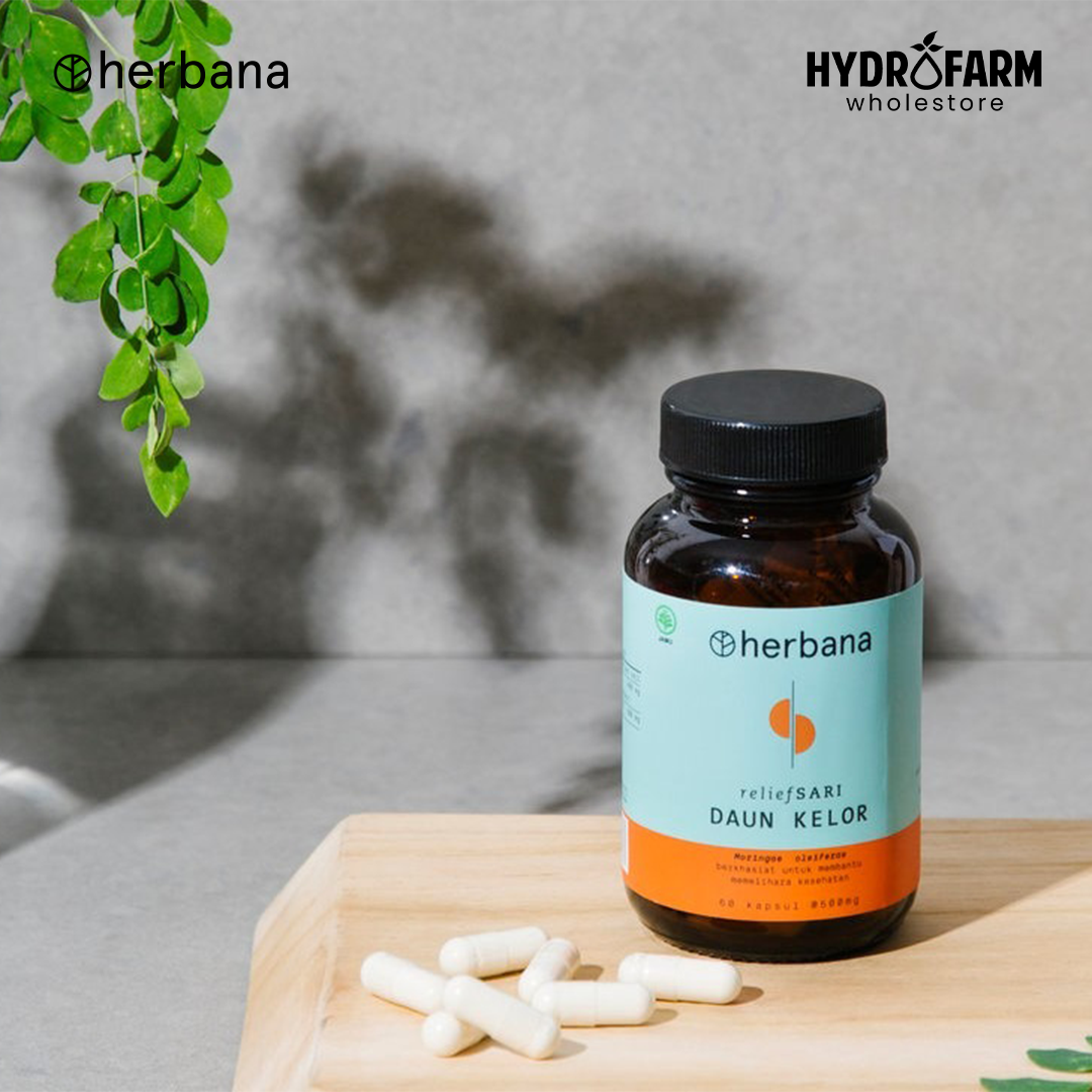 Herbana - Moringa (Daun Kelor) Capsule