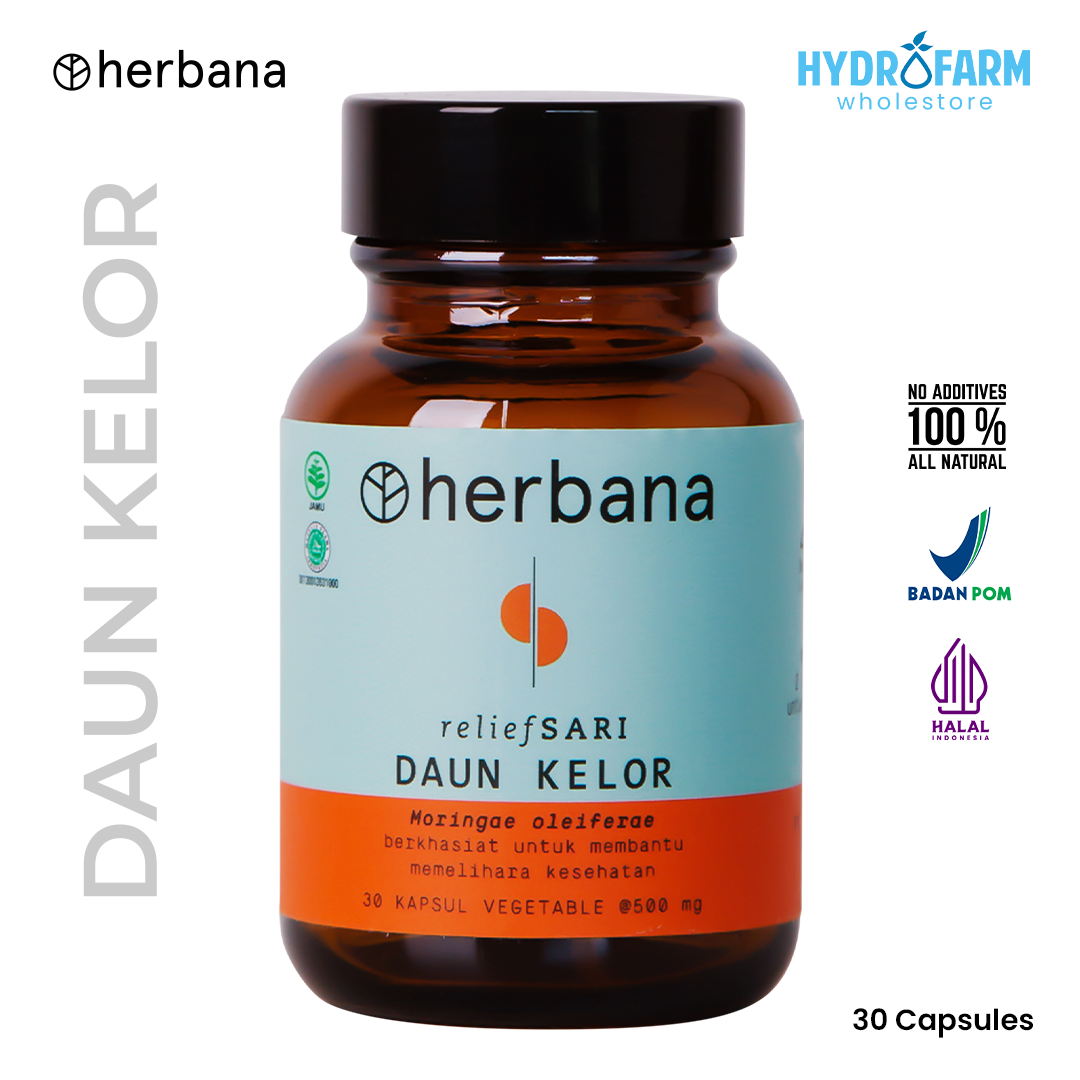 Herbana - Moringa (Daun Kelor) Capsule