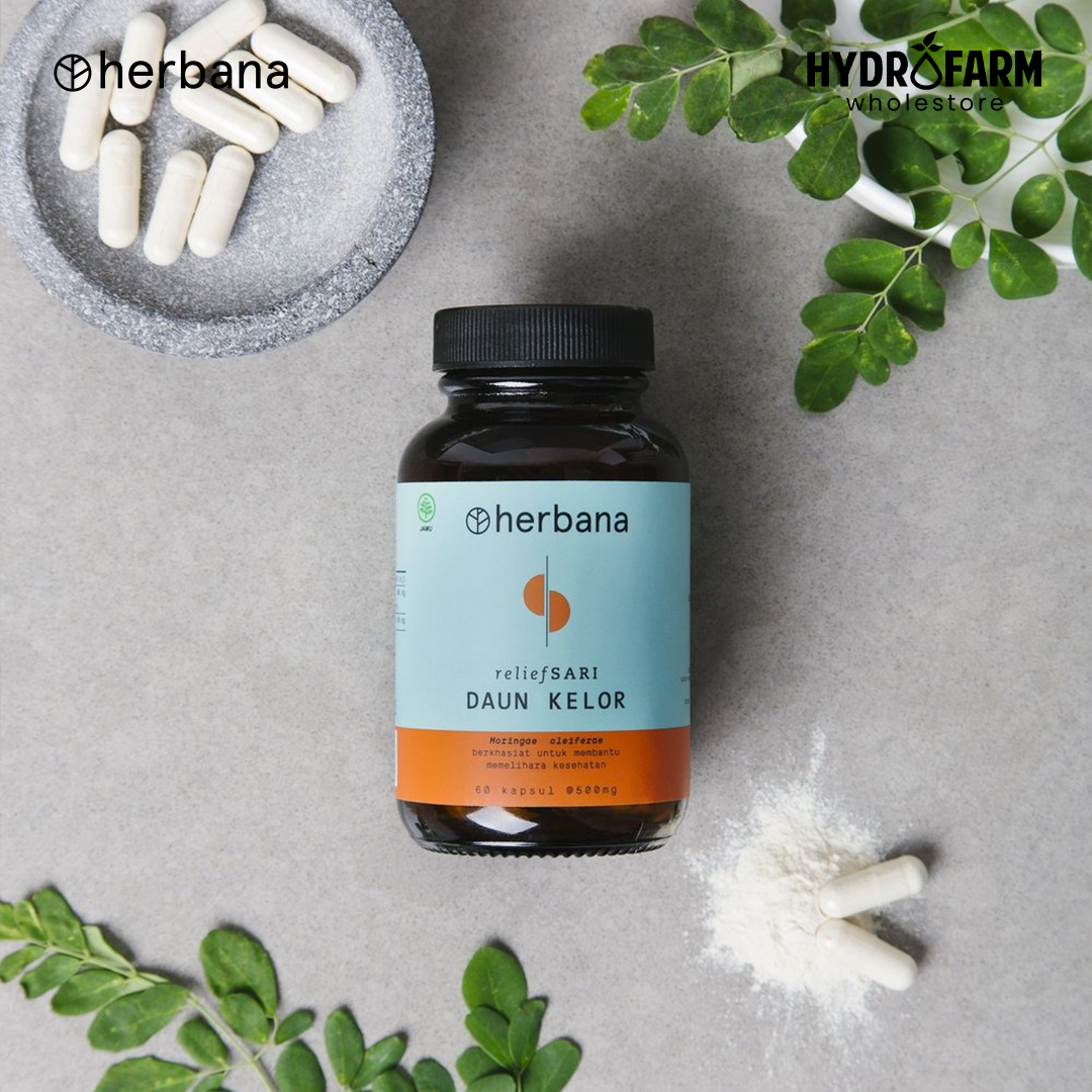 Herbana - Moringa (Daun Kelor) Capsule