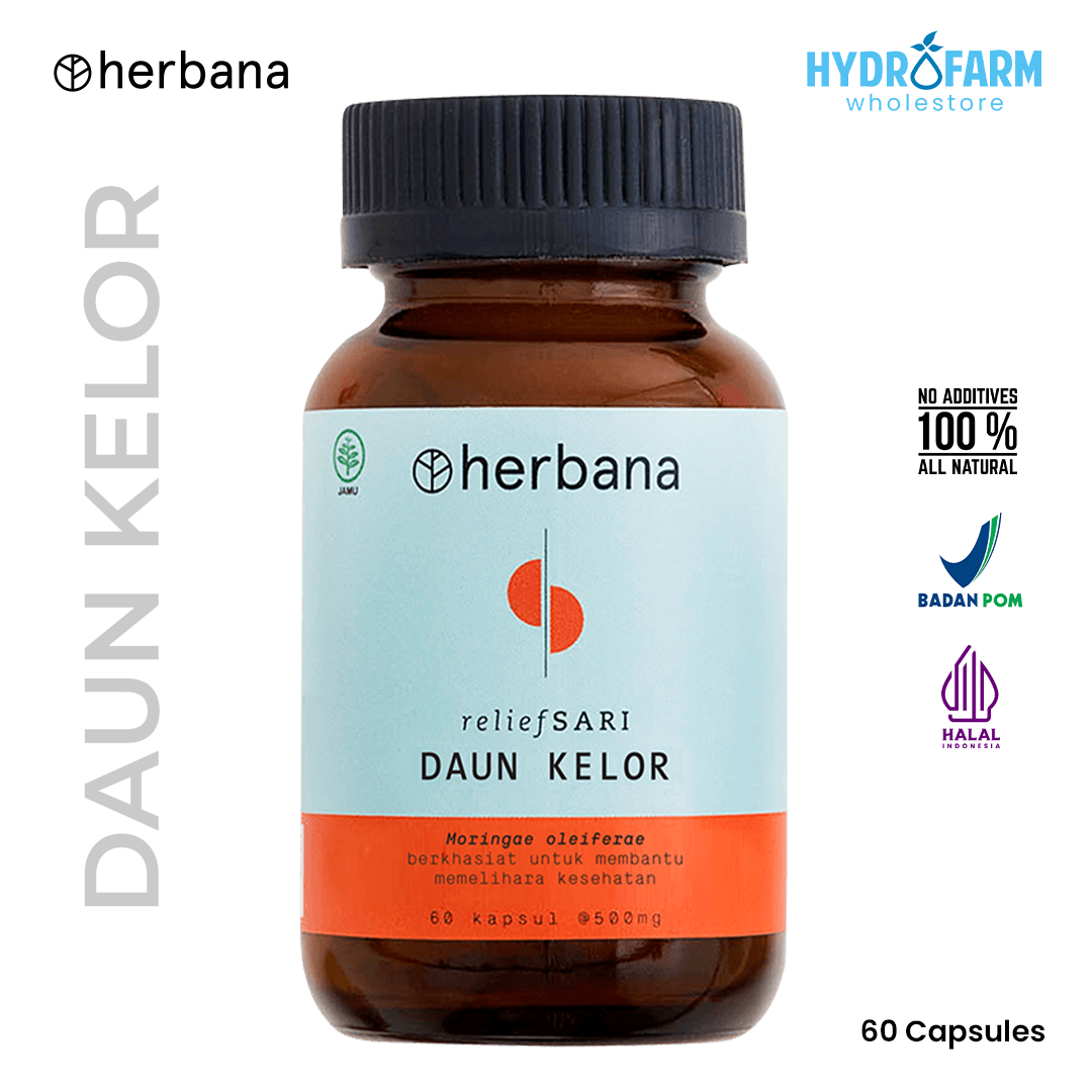 Herbana - Moringa (Daun Kelor) Capsule