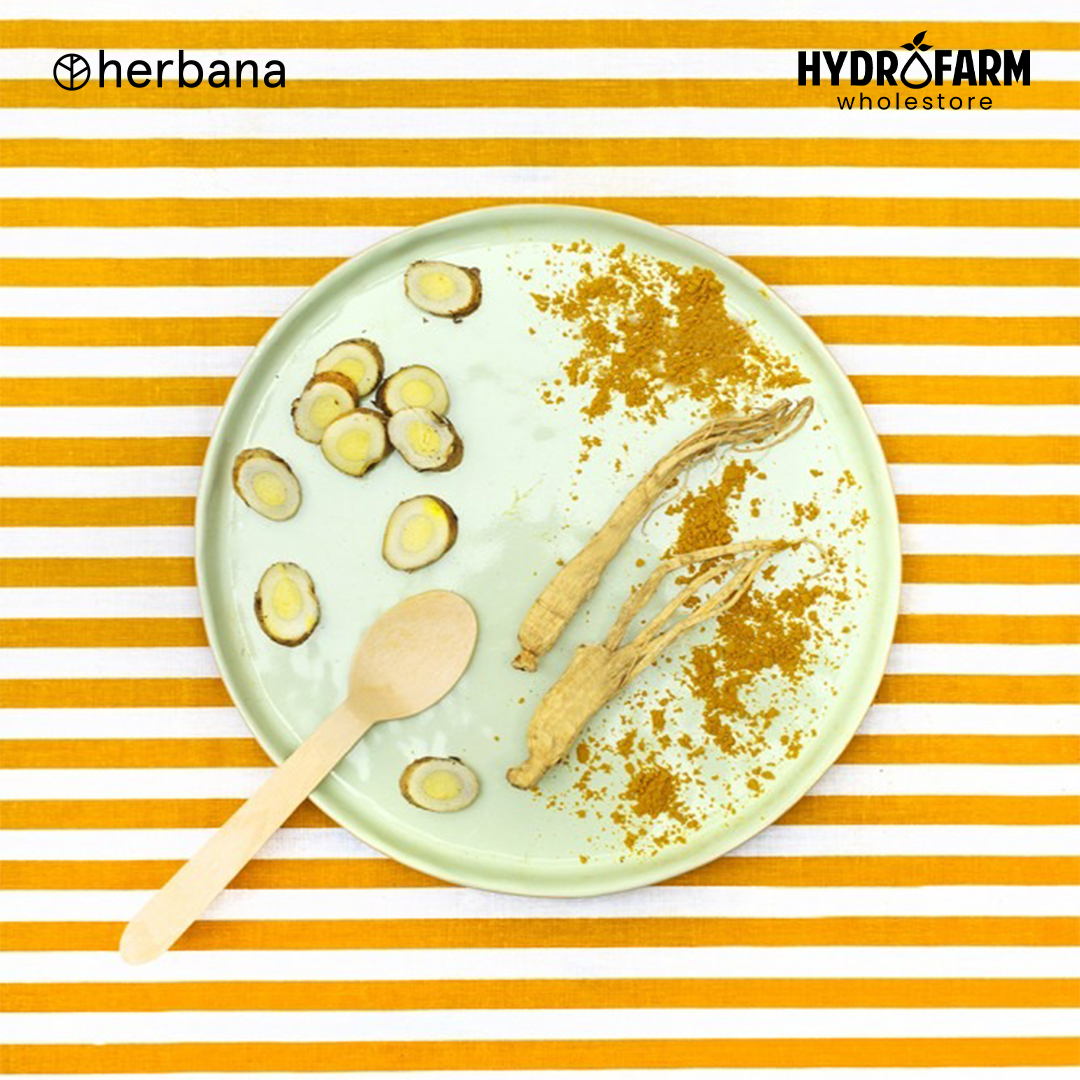 Herbana - Balance Madia Good Night (Meringankan insomnia)