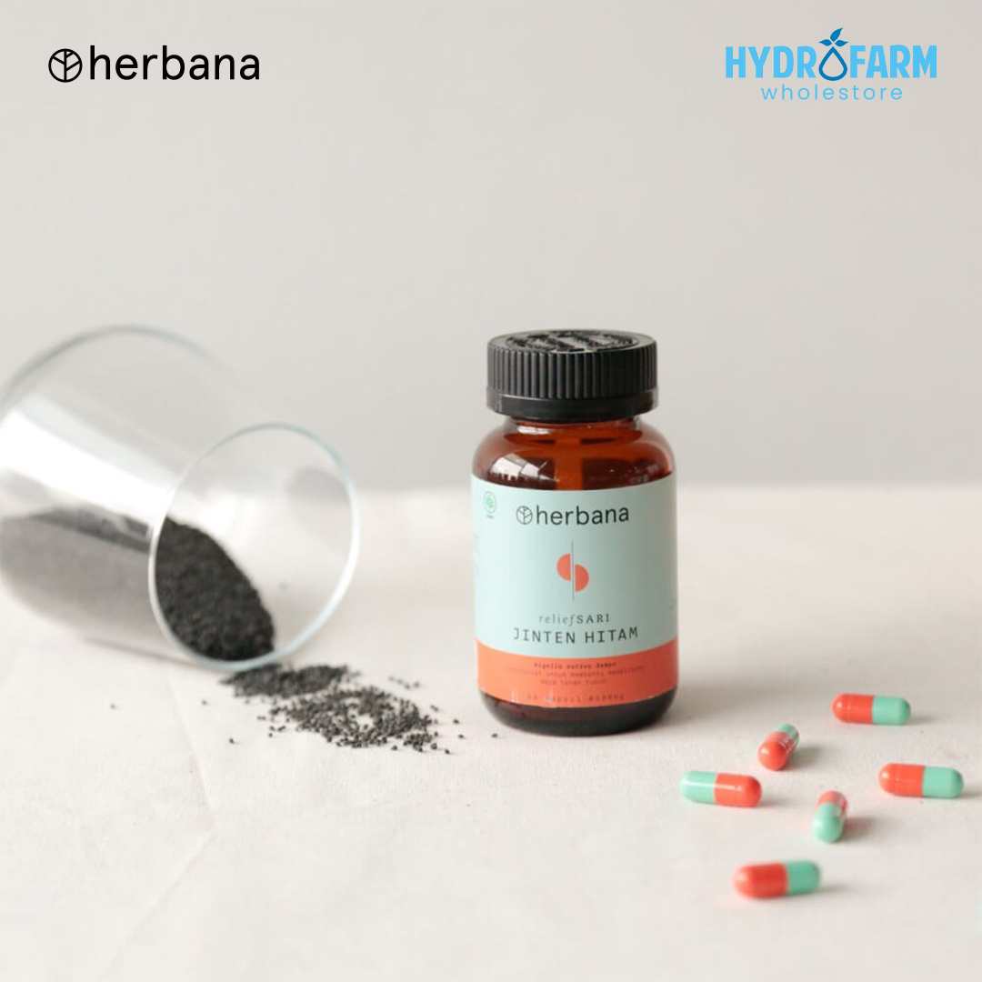 Herbana - Jinten Hitam Habbatussauda Capsule