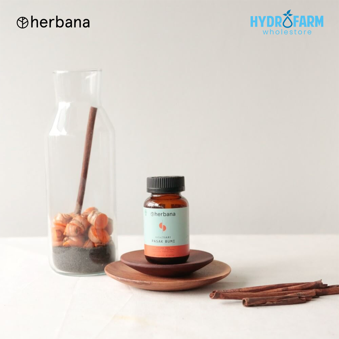 Herbana - Tongkat Ali / Pasak Bumi Capsule