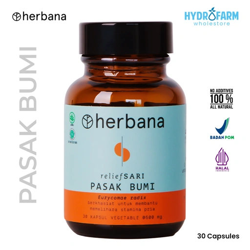 Image of Herbana - Tongkat Ali / Pasak Bumi Capsule