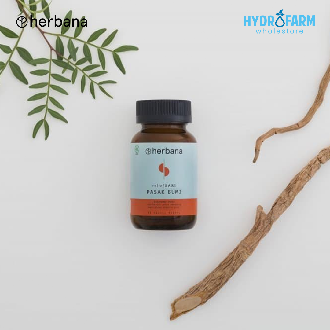 Herbana - Tongkat Ali / Pasak Bumi Capsule
