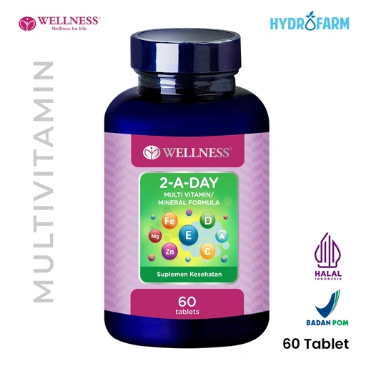Wellness - Multi Vitamin / Mineral Formula 2-A-Day (60 Tablets)