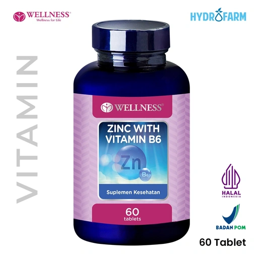 Wellness - Zinc With Vitamin B6 (60 Tablets)