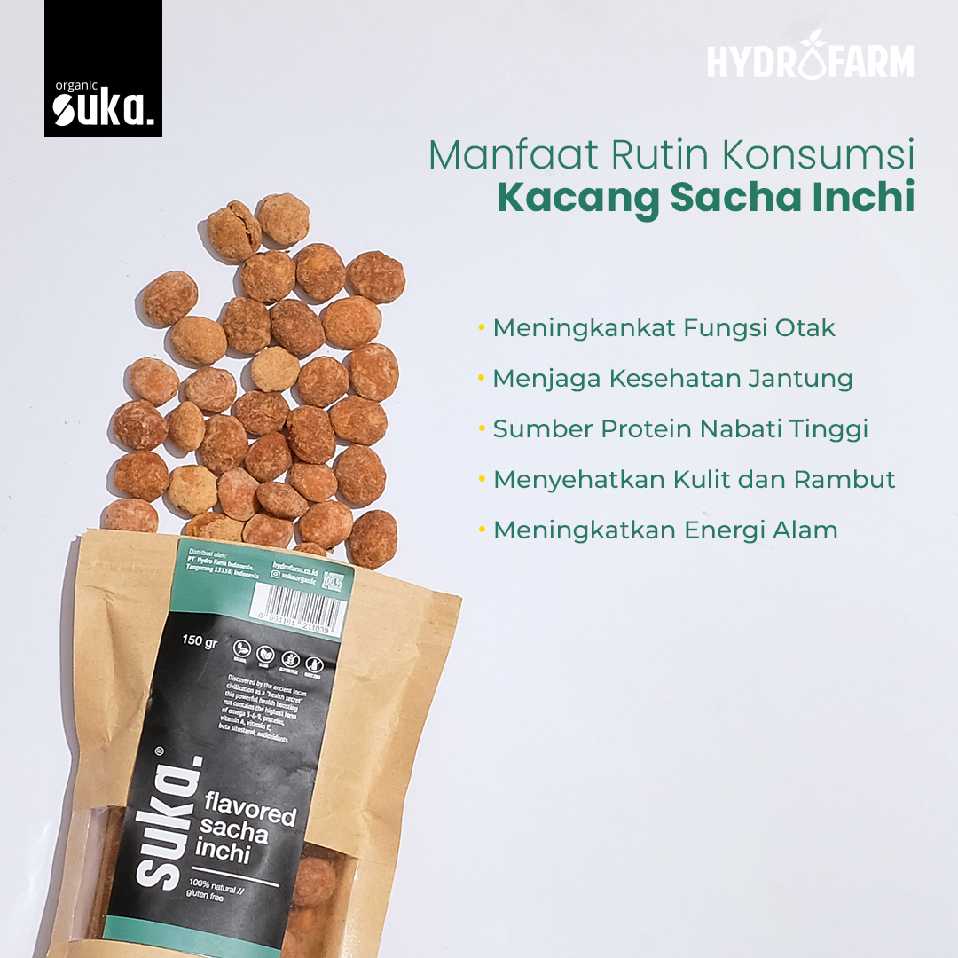 Flavored Sacha Inchi / Kacang Sacha Inchi Berbumbu - SUKA