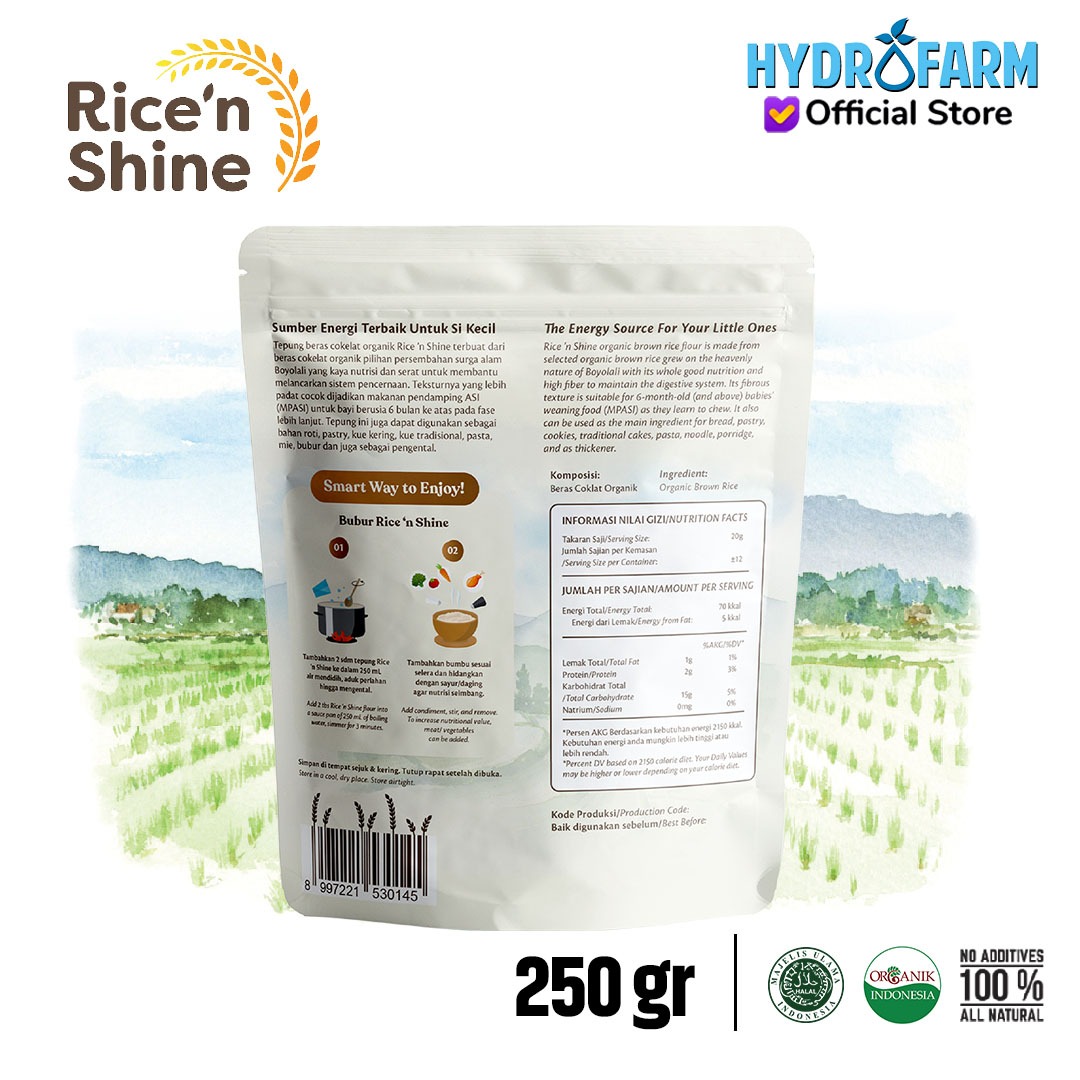 Organic Brown Rice Flour / Tepung Beras Coklat Organik - Rice'N Shine