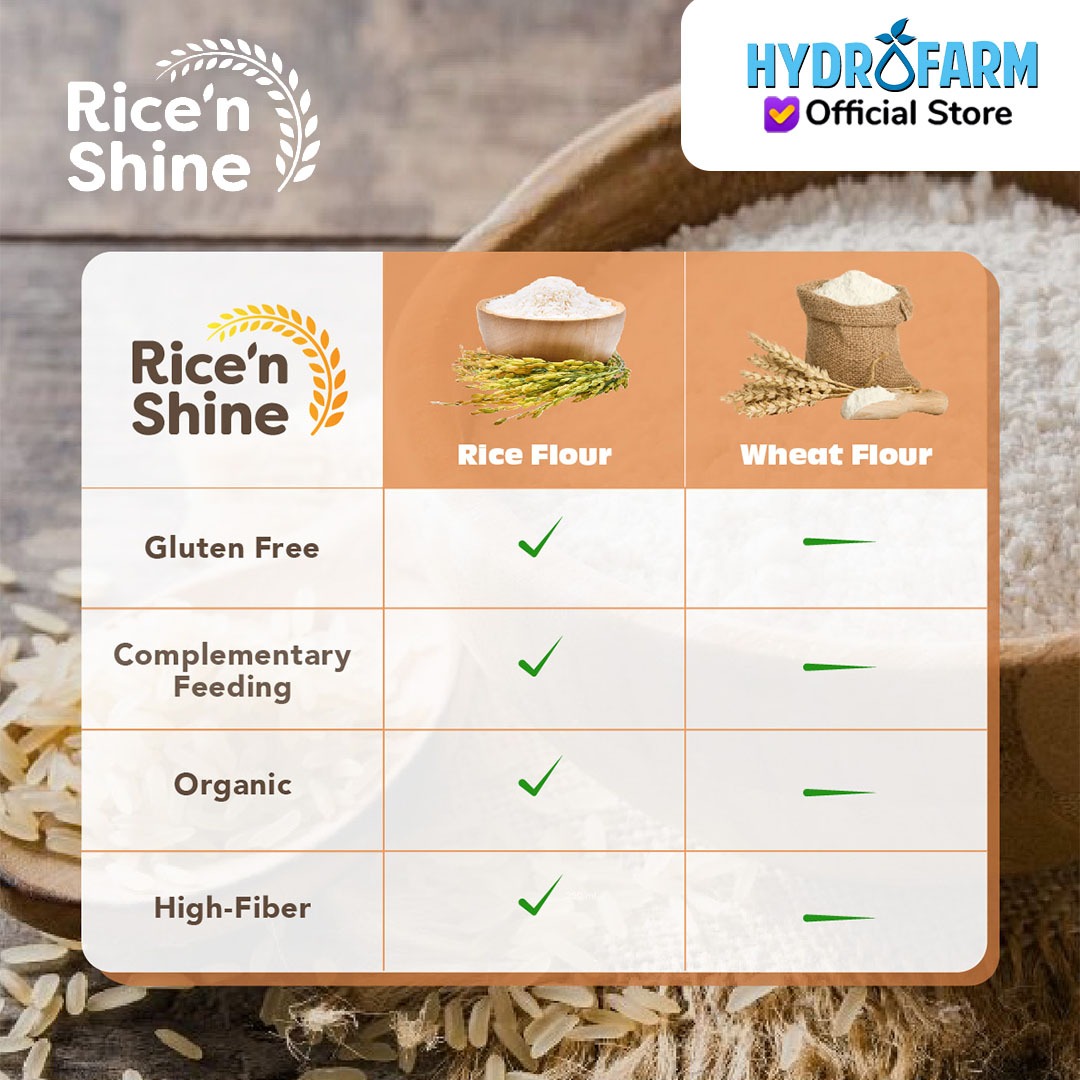 Organic White Rice Flour / Tepung Beras Organik Putih - Rice'N Shine