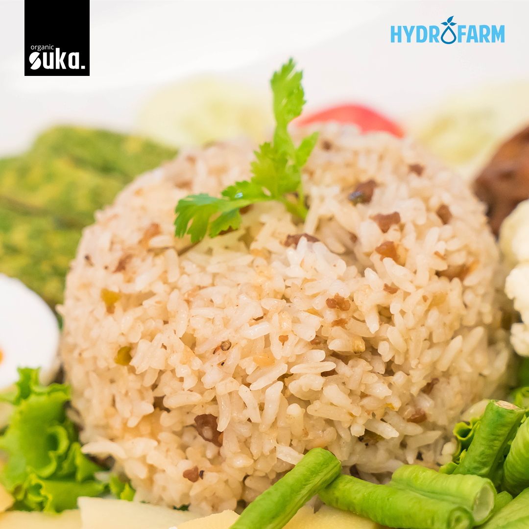 Organic Ciherang Brown Rice / Beras Coklat Ciherang - SUKA