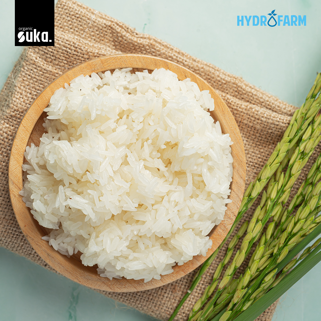 Organic Menthik Milk Rice / Beras Mentik Susu Organik - SUKA