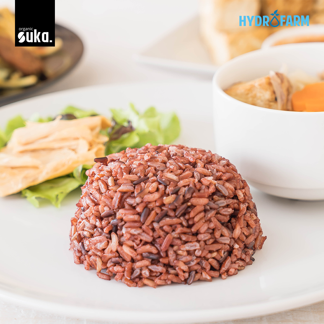 Organic Red Rice / Beras Merah Organik - SUKA