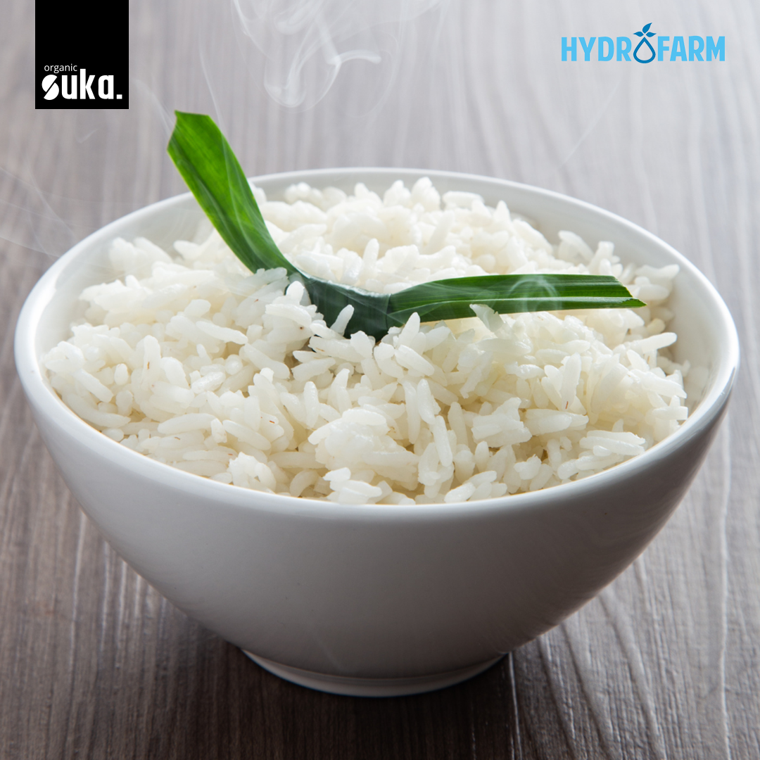 Organic Panda Wangi Rice / Beras Organik Pandan Wangi - SUKA