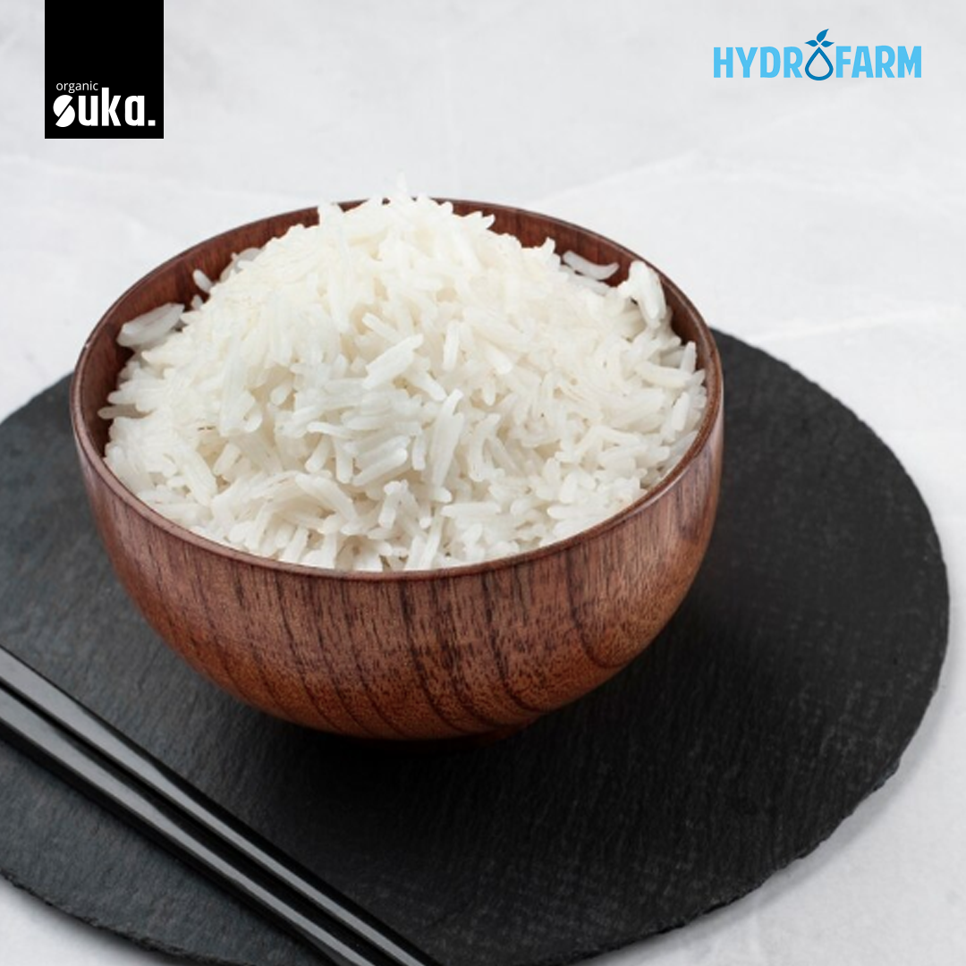 Organic Ciherang White Rice / Beras Putih Ciherang - SUKA