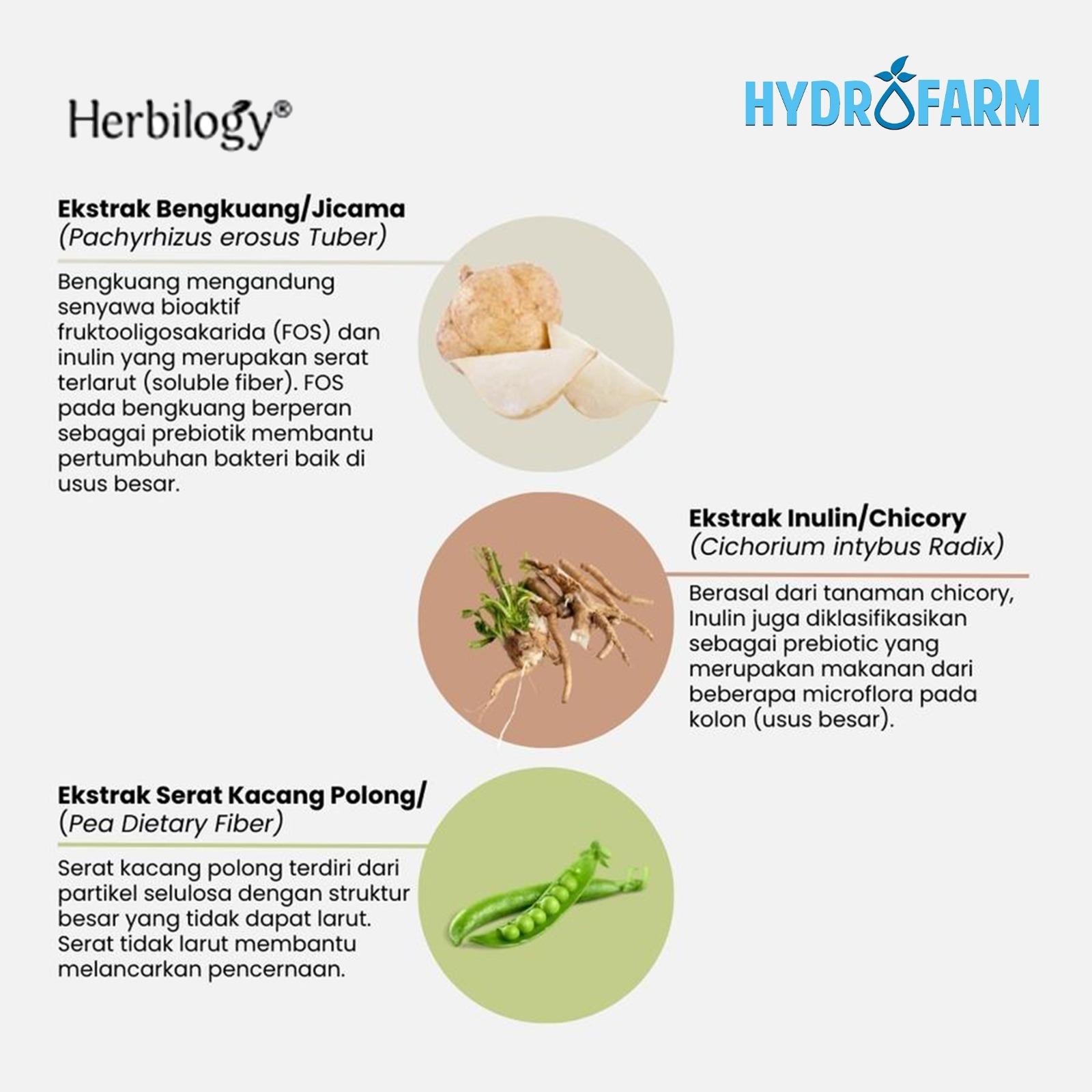Herbilogy - Healthy Gutsie Extract Powder