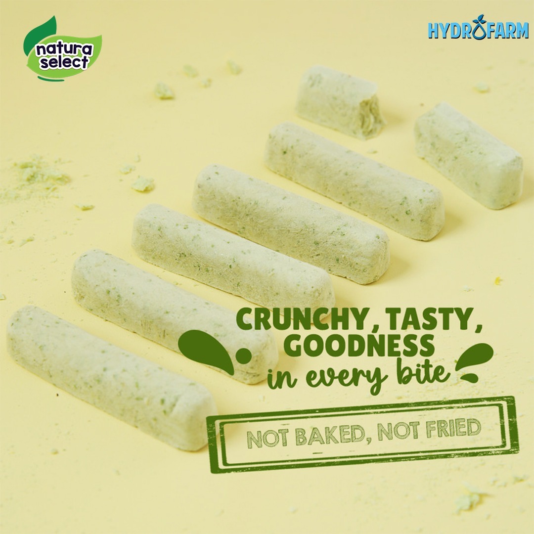 Natura Select - Freeze Dried Yoghurt Stix Banana Kale