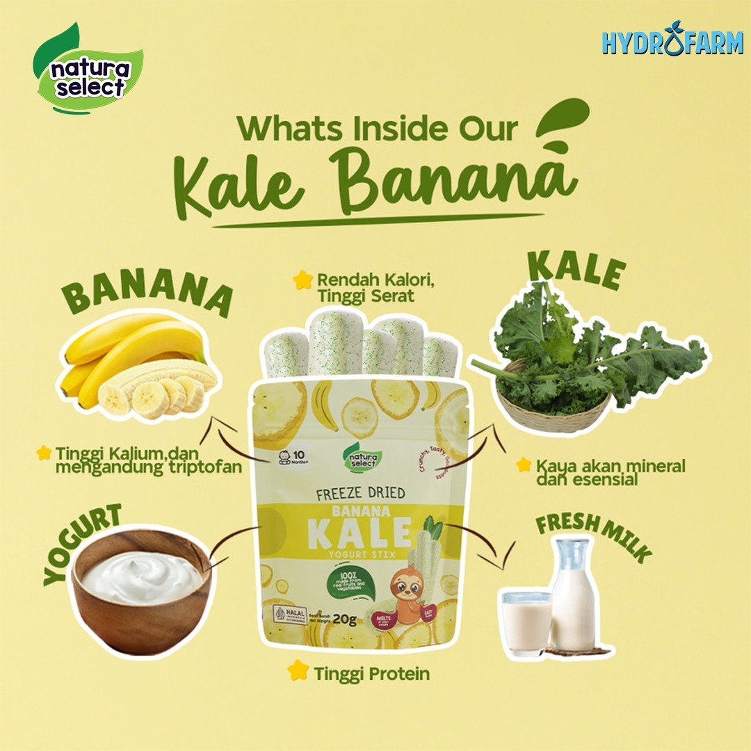Natura Select - Freeze Dried Yoghurt Stix Banana Kale
