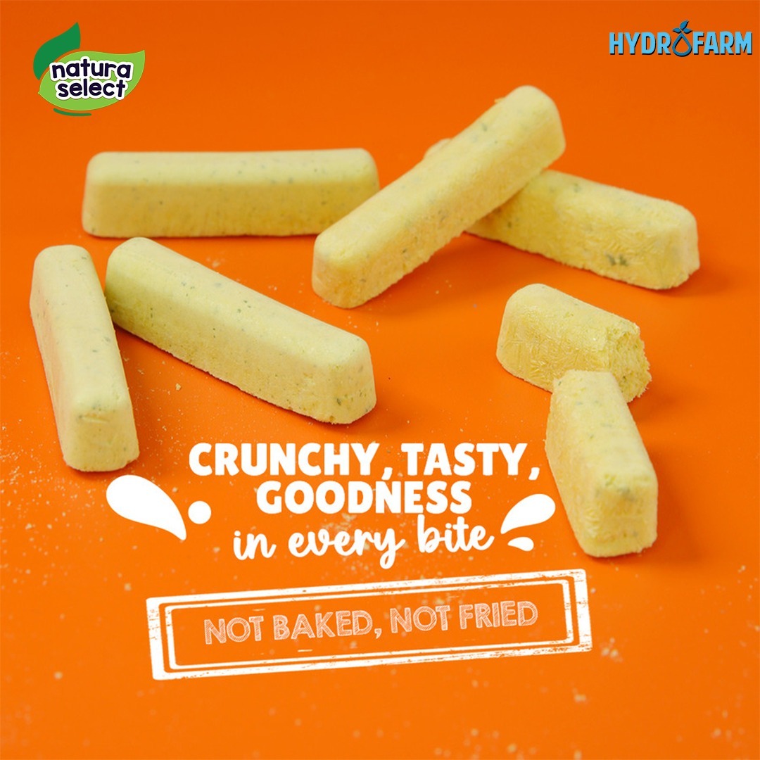 Natura Select - Freeze Dried Yoghurt Stix Mango Kale
