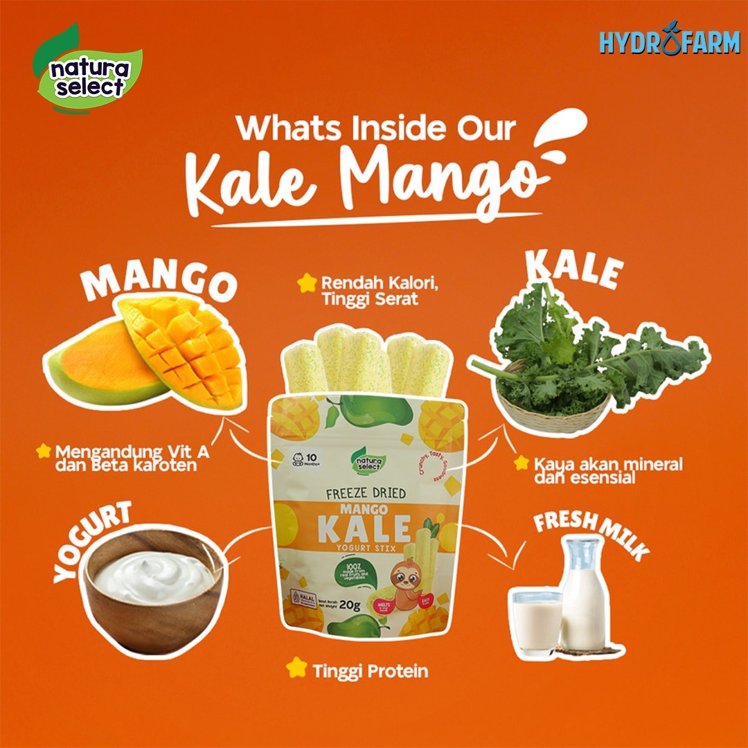 Natura Select - Freeze Dried Yoghurt Stix Mango Kale