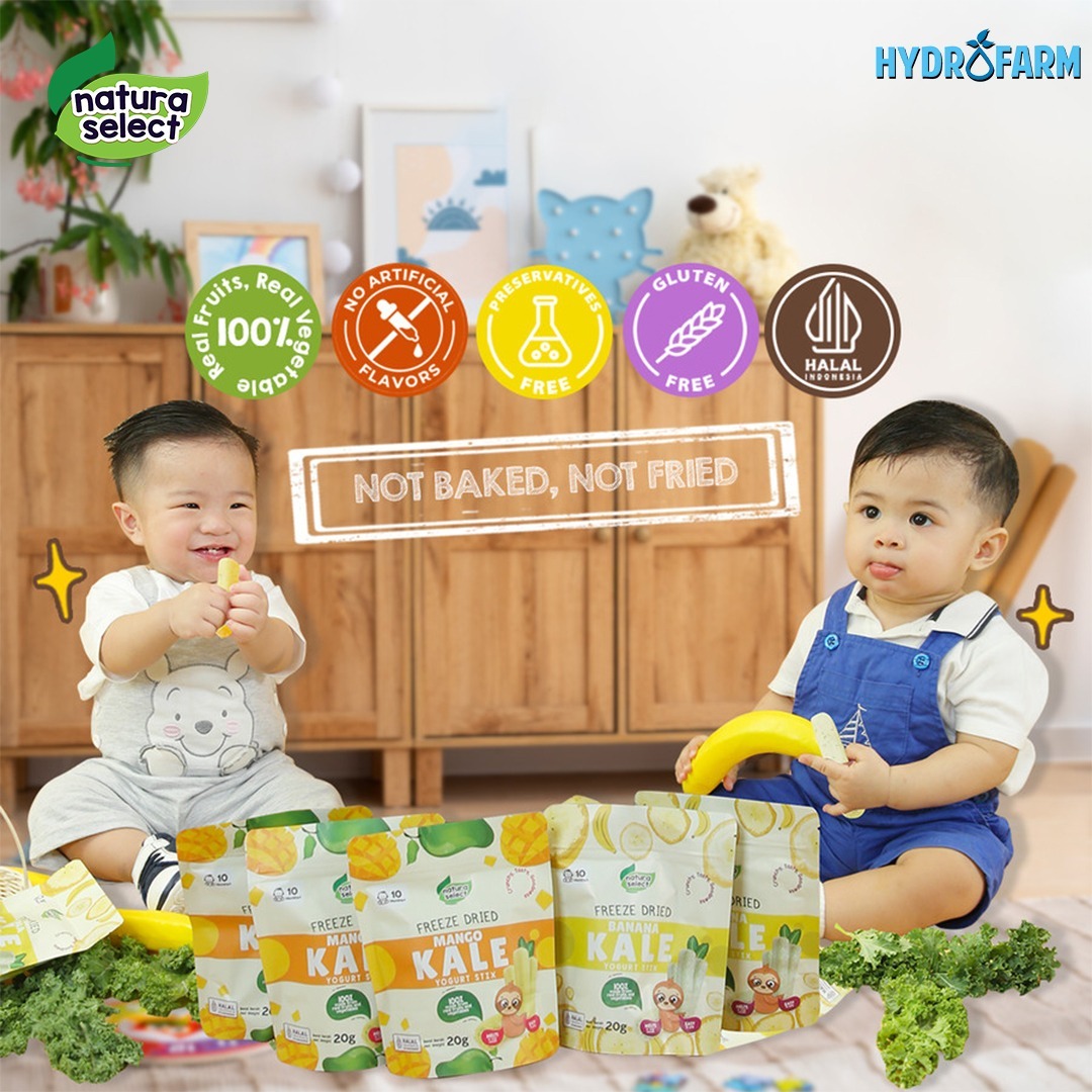 Natura Select - Freeze Dried Yoghurt Stix Mango Kale