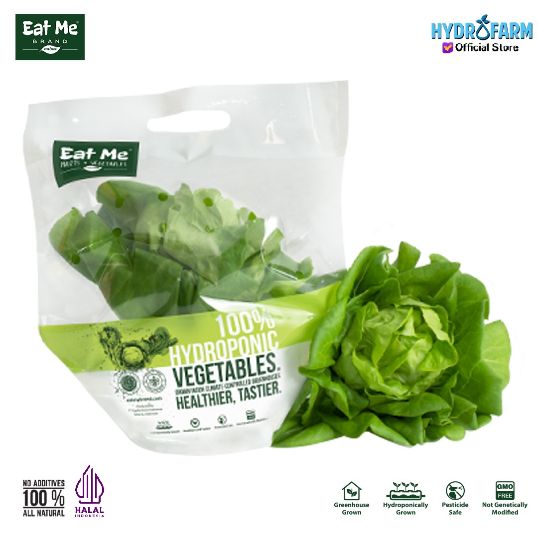Sayur Selada Butterhead Lettuce Hidroponik - Eat Me Brand